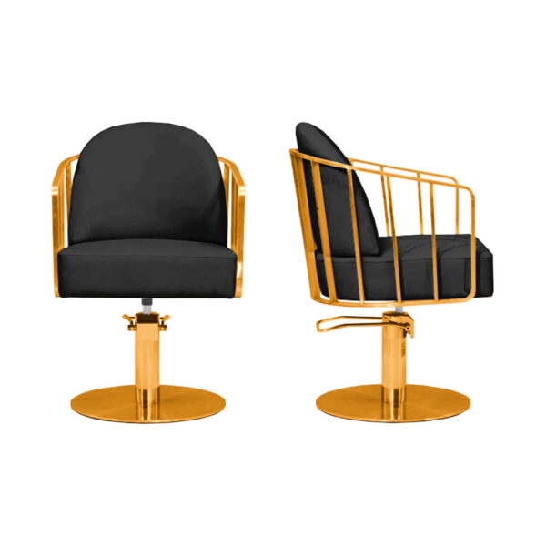 Sillon De Peluqueria Leeds - Image 3