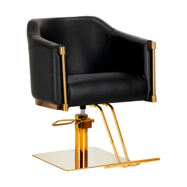 Sillon De Peluqueria Preston