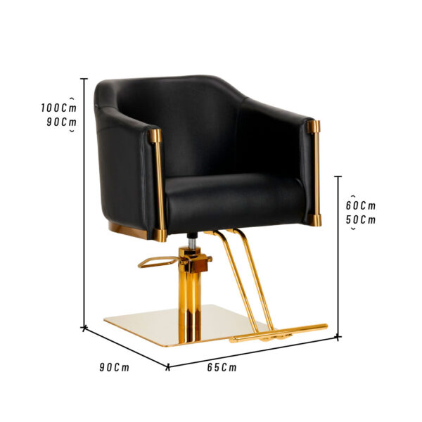 Sillon De Peluqueria Preston - Image 3