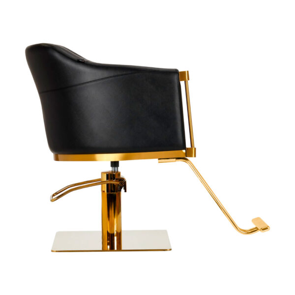Sillon De Peluqueria Preston - Image 2